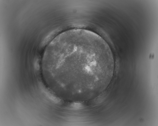 X0000111840114200909031713