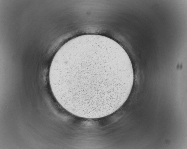 X0000111840115200909031713