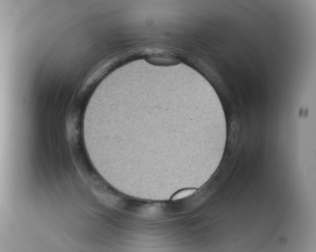 X0000111840116200909031713