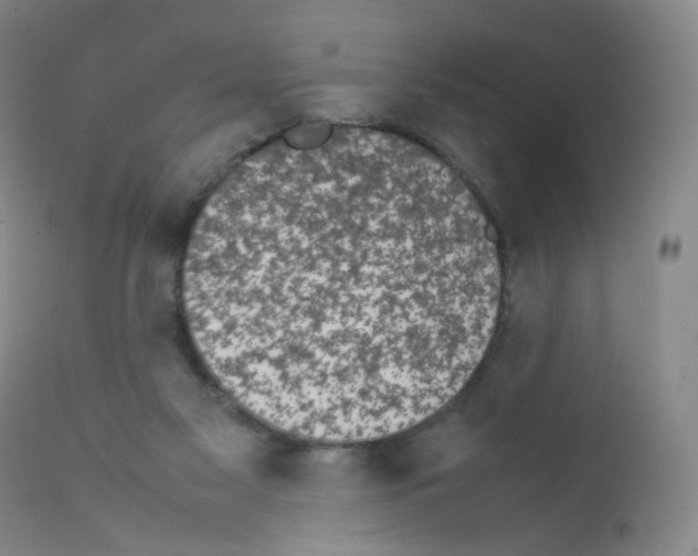 X0000111840117200909031713