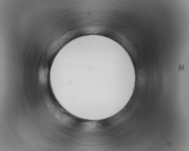 X0000111840118200909031713