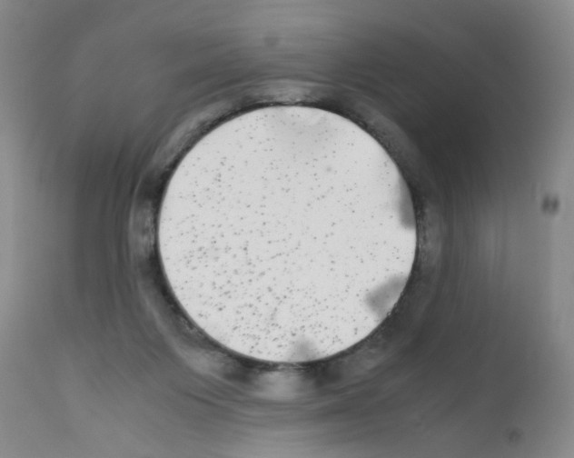 X0000111840119200909031713