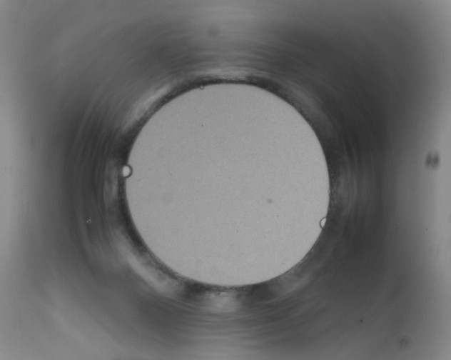 X0000111840120200909031713