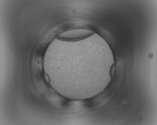 X0000111840121200909031713