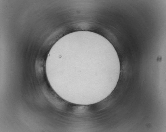 X0000111840122200909031713