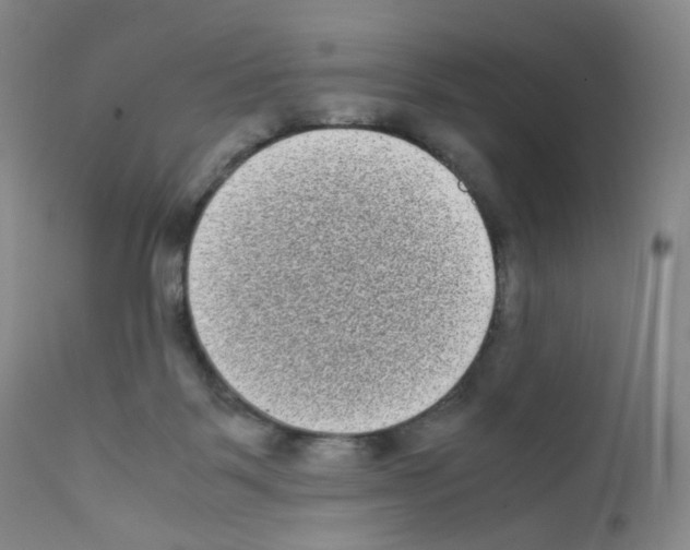 X0000111840123200909031713