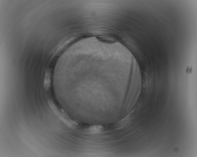 X0000111840124200909031713