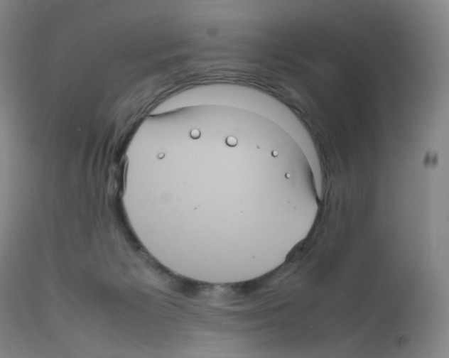 X0000111840125200909031713