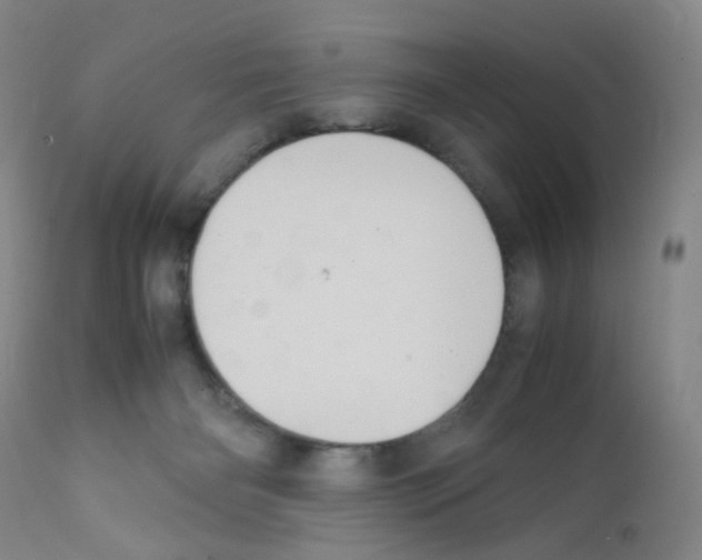 X0000111840126200909031713