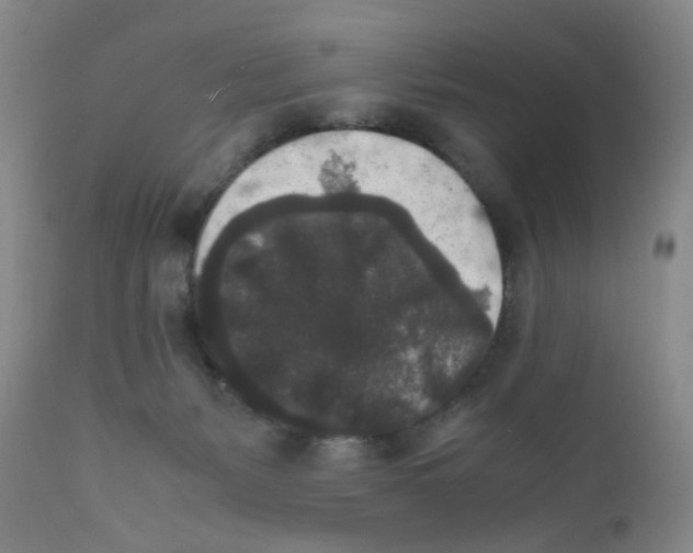 X0000111840127200909031713