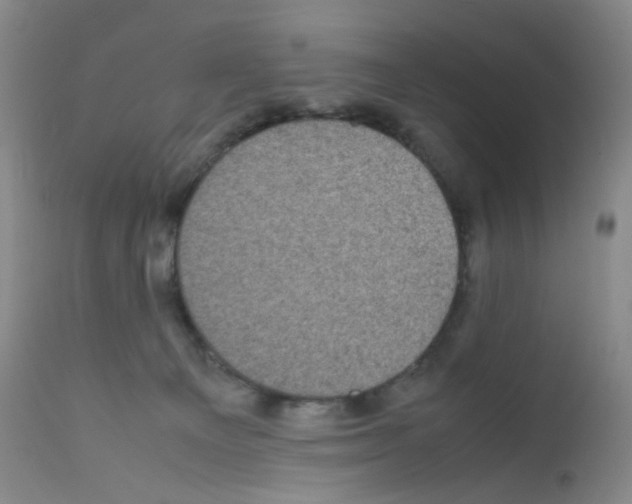 X0000111840129200909031713