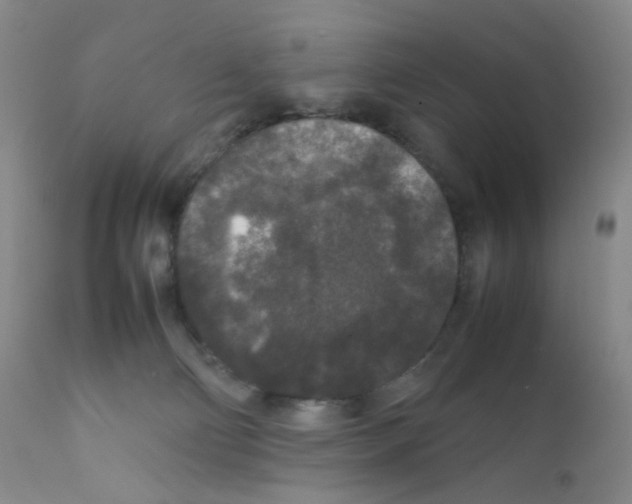 X0000111840130200909031713