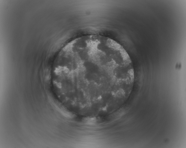 X0000111840131200909031713