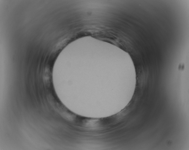 X0000111840132200909031713