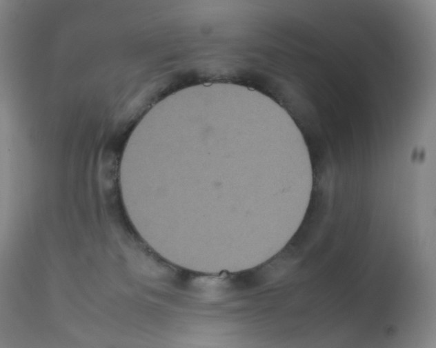 X0000111840133200909031713