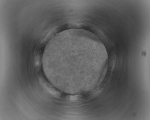 X0000111840134200909031713