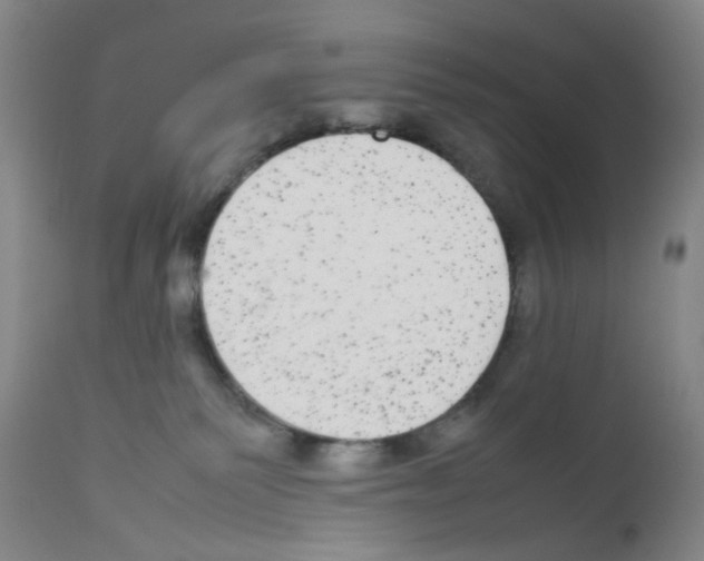 X0000111840135200909031713