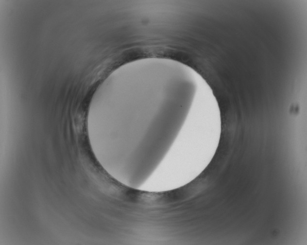 X0000111840139200909031713