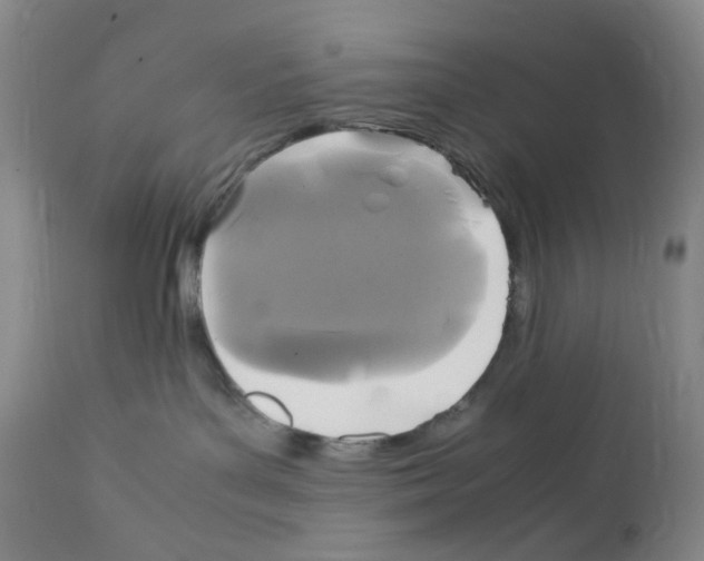 X0000111840143200909031712