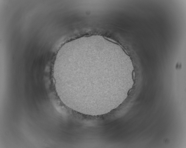 X0000111840144200909031712