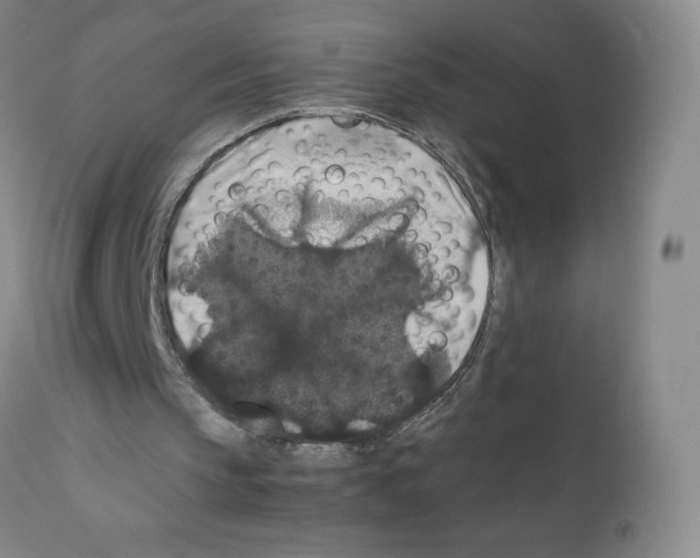 X0000111840145200909031712