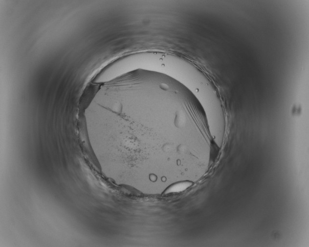 X0000111840146200909031712