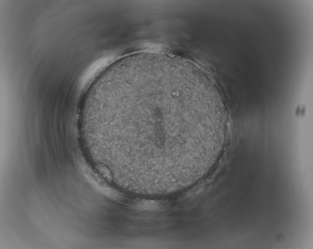 X0000111840149200909031712