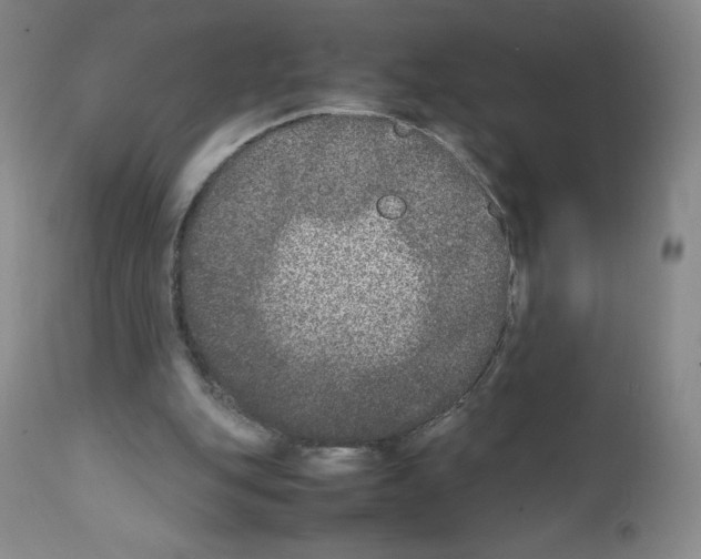 X0000111840151200909031712