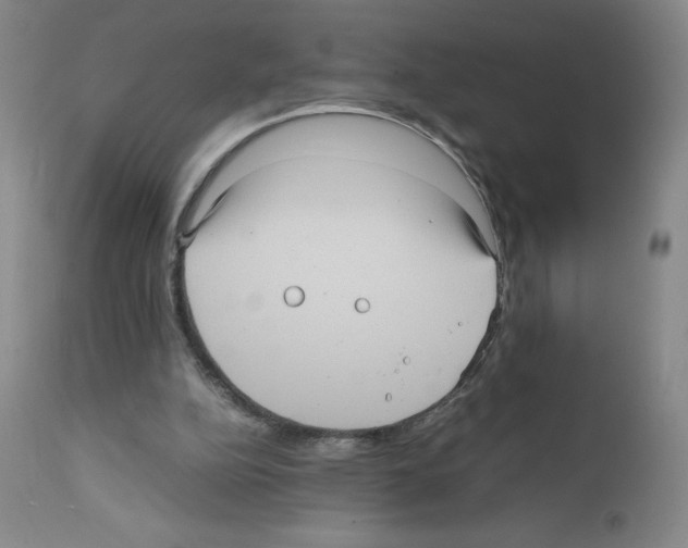 X0000111840152200909031712