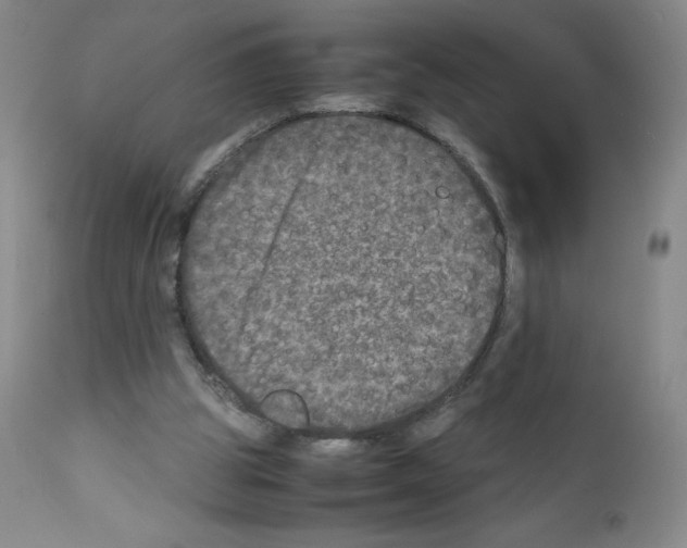 X0000111840153200909031712