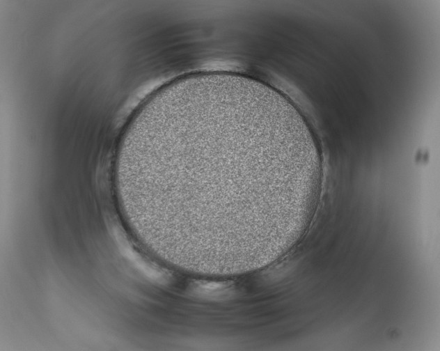 X0000111840155200909031712