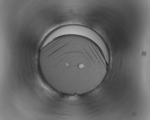 X0000111840156200909031712