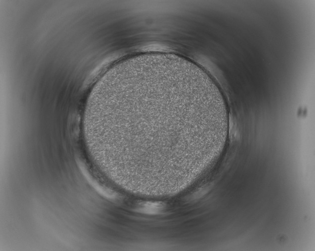 X0000111840157200909031712