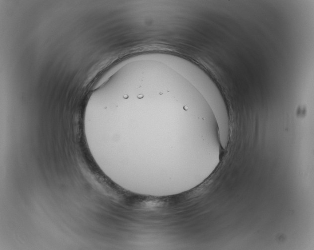 X0000111840158200909031712