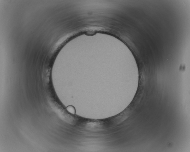 X0000111840160200909031712