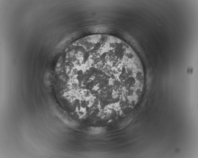 X0000111840161200909031712