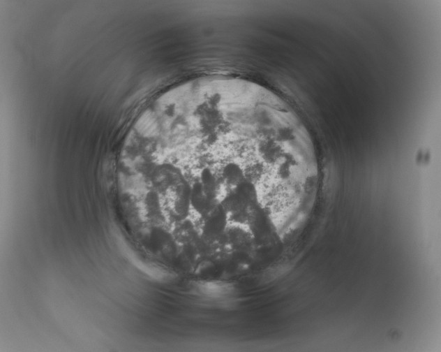 X0000111840165200909031712