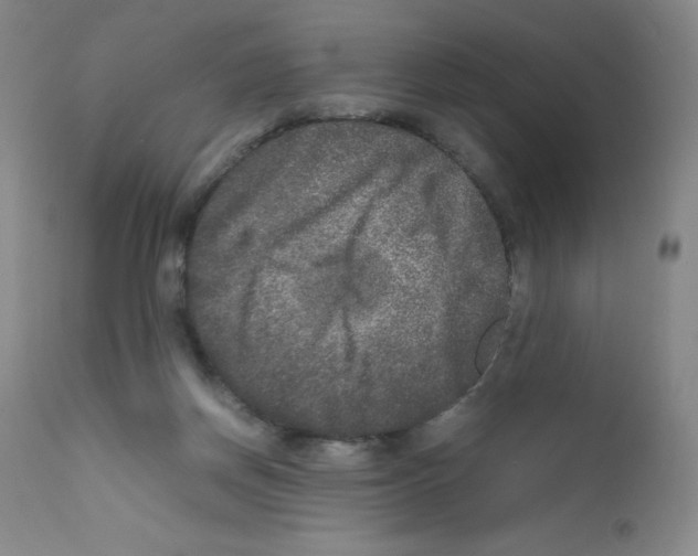 X0000111840166200909031712