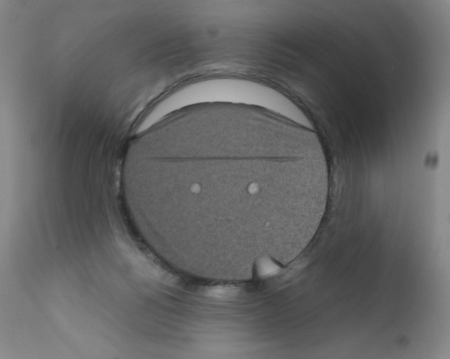 X0000111840168200909031712