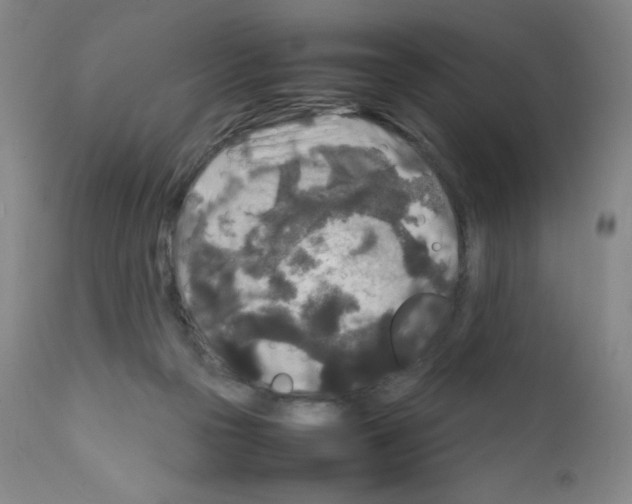 X0000111840169200909031712