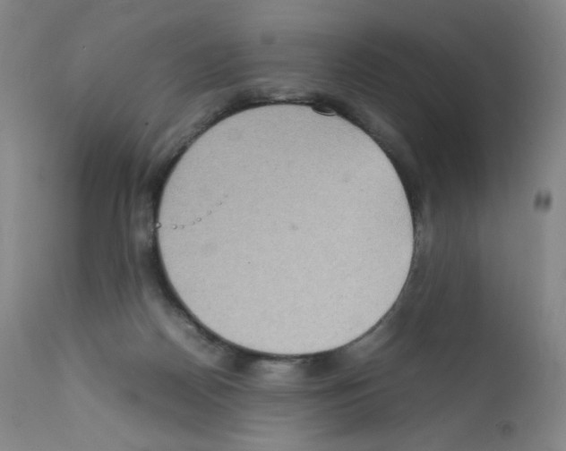 X0000111840170200909031712