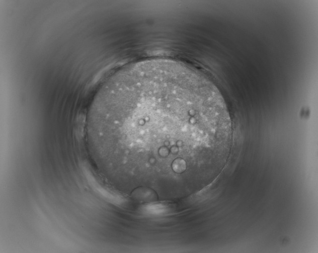 X0000111840171200909031712