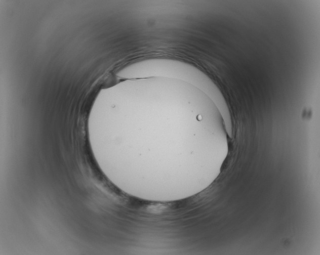 X0000111840172200909031712