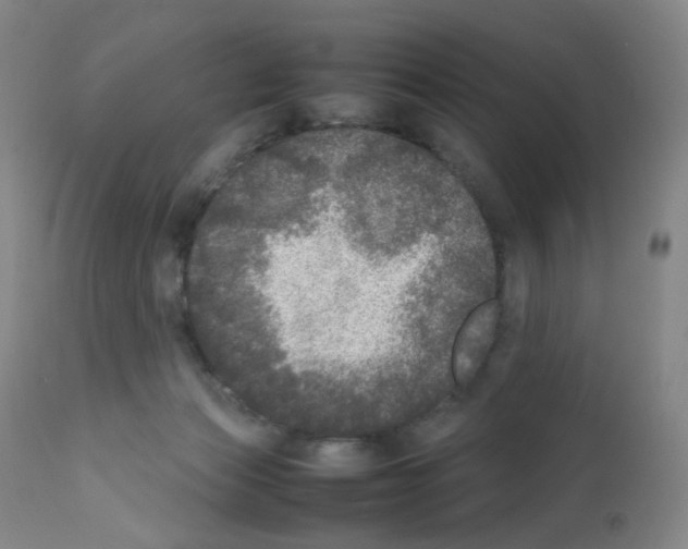 X0000111840173200909031712