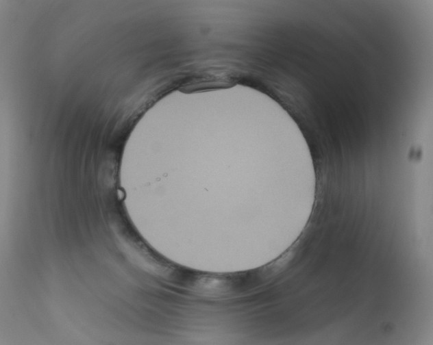 X0000111840174200909031712