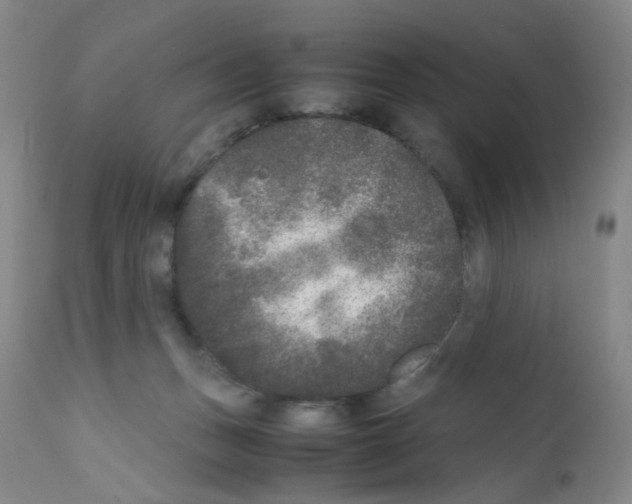 X0000111840175200909031712