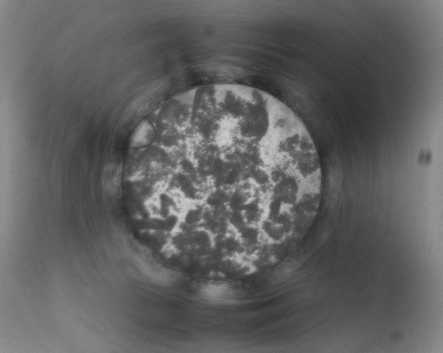 X0000111840177200909031712