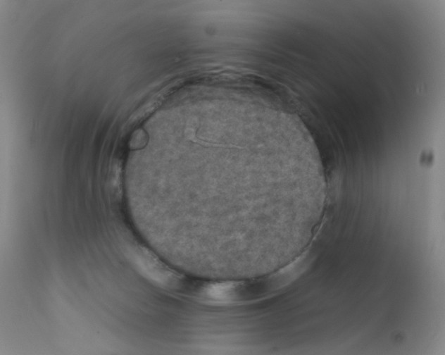 X0000111840178200909031712