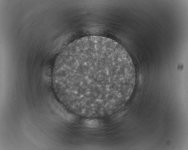 X0000111840181200909031712