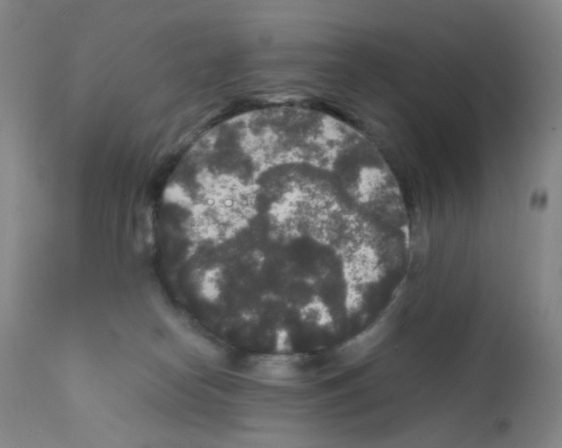 X0000111840182200909031712